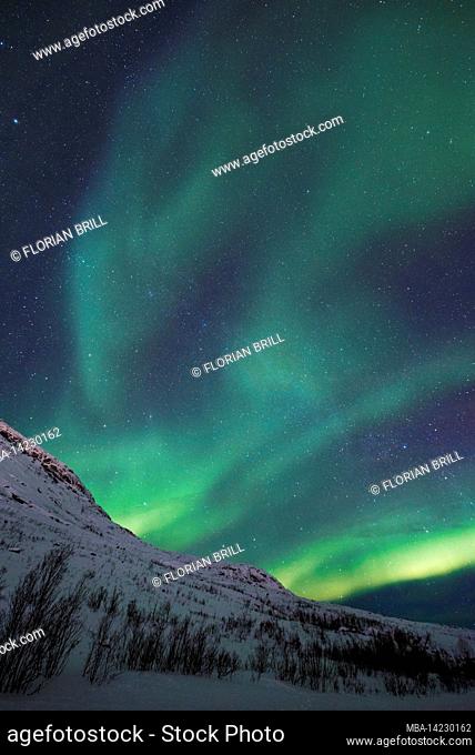 Aurora Borealis moves like green clouds over the snow-capped mountains near Ersfjordbotn, Tromsø, Norway