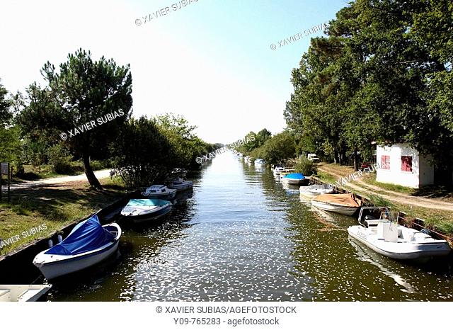 Le Montaut, canal between Hourtin and Carcans Lake and Lacanau Lake. Gironde, Aquitaine, France