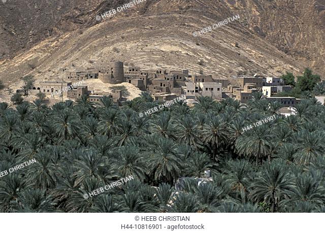 Birkat al Mawz, village, oasis, palms, Oman, Arabian peninsula