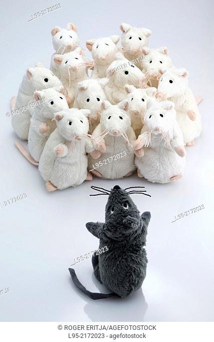 Black puppet mouse instructing leadership a group of coordinated human-like white mice