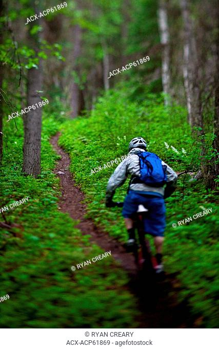 A young male mountain biker riding the Moonraker cross country trail system near Golden, BC