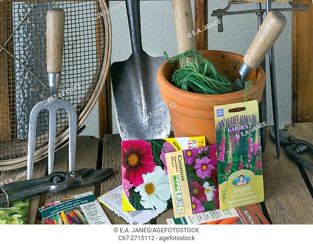 Garden tools and seed packets laid out in potting shed