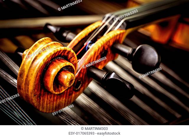 Close-up detail of violin head with string background