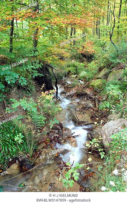 mountain creek, Germany, Saxony-Anhalt, Ilsetal