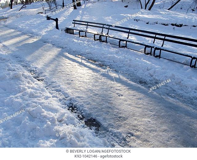 Frozen pedestrian walk in a park
