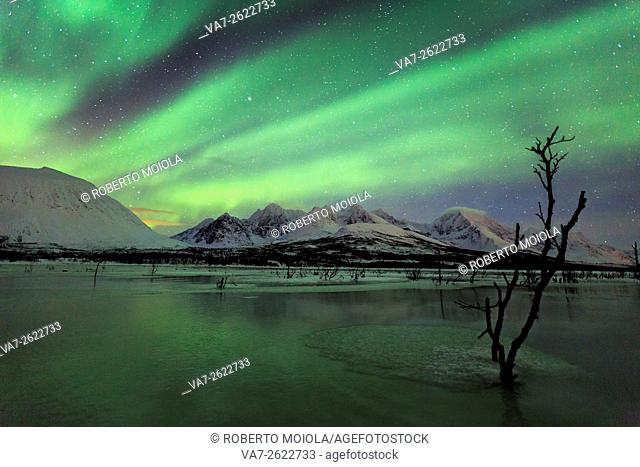 Aurora Borealis on the frozen lagoon of Jaegervatnet Stortind. Lyngen Alps Tromsø Lapland Norway Europe