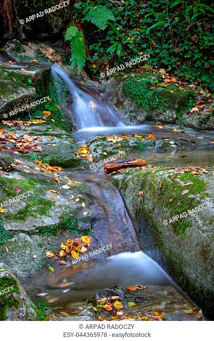 Beautiful creek in the forest in Spain, near the village Les Planes de Hostoles in Catalonia