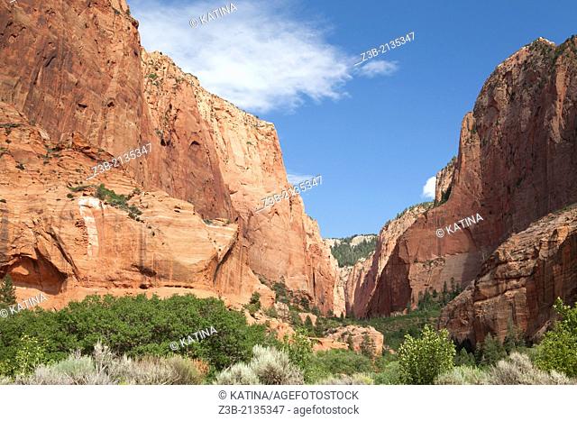The Kolob Canyons area of Zion National Park in southwestern Utah, USA