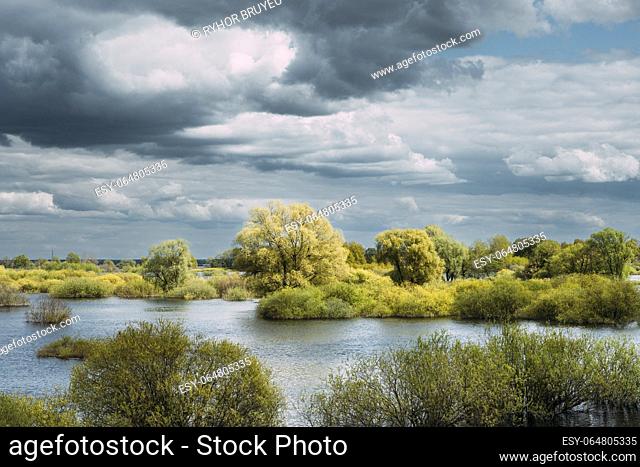 Countryside Landscape During Spring Flood Floodwaters. Bold Bright Blue Sky Above Nature Landscape During Spring Flood. Amazing Reflections In River