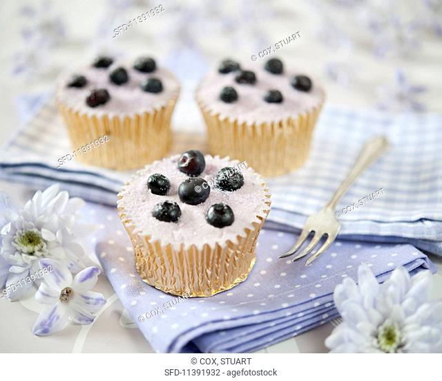 Cupcakes decorated with sugared blueberries