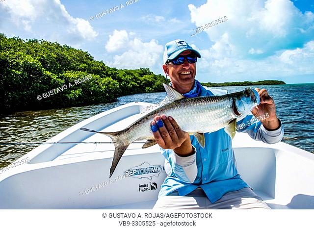 A fly fisherman with a small tarpon that caught with a fly rod on los roques - venezuela
