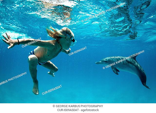 Boy free diving with Atlantic spotted dolphins