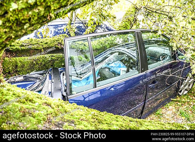 25 August 2023, Bavaria, Lindau: Fallen trees and branches lie on top of a car at a campsite. The previous night, a severe thunderstorm had passed over the...