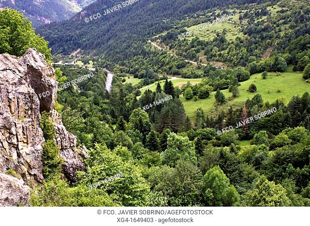 Forests and meadows in the Valley of Bujaruelo - GR-11 - Ara Valley - Pyrenees - Aragon Pyrenees - Huesca - Aragon - Spain - Europe