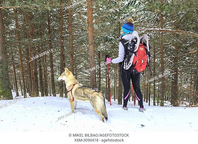 Mountaineer woman in the snow with a wolfdog. Las Lagunas Glaciares de Neila Natural Park. Burgos, Castile and Leon. Spain, Europe