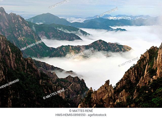 China, Anhui province, Huangshan mountain (Yellow mountains), listed as World Heritage by UNESCO