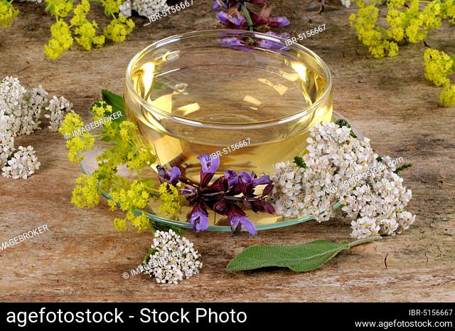 Cup of herbal tea with yarrow, sage and lady's mantle, menstrual cramps, menopausal tea, for hot flashes
