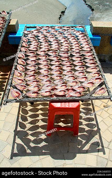 Alot of dry red fish on the frame under the sun