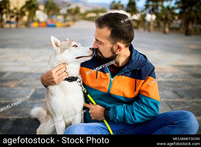 Mid adult man with Siberian Husky sitting on street
