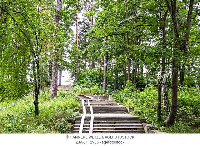 Path through the forest of Jurmala, Latvia, Europe