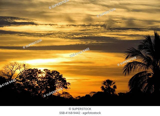 Brazil, Southern Pantanal, Caiman Ranch, Sunset
