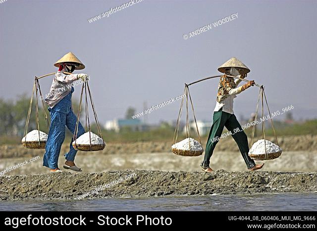Women in conical hats carry heavy wicker pannier baskets of salt along dykes between salt ponds Vietnam