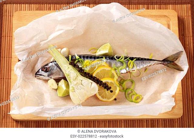 Fresh mackerel