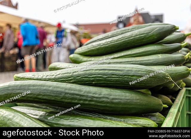 05 August 2023, Brandenburg, Golßen: Salad cucumbers lie at a sales stand at the Spreewald Cucumber Day in Golßen, which visitors walk past