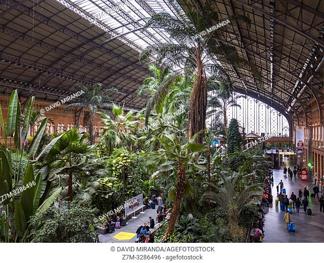 Jardín tropical de la estación de Atocha. Madrid. España