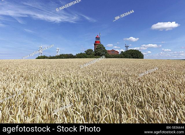 Wheat field with Bastorfer lighthouse, Lighthouse Buk, Bastorf near Kühlungsborn, Baltic Sea, Mecklenburg-Western Pomerania, Germany, Europe