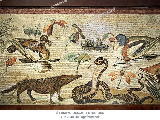 Roman mosaic of Nile Scene Roman Mosaic ( Scena Nileotica ) from Pompei Archaeological Site. Naples Archaeological Museum, inv 9990, Italy
