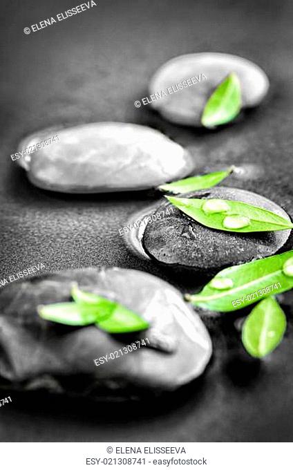 Stones with green leaves and water drops