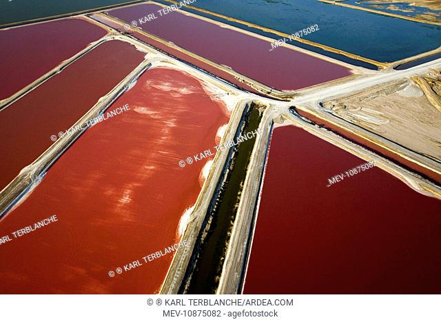Evaporation ponds for the commercial extraction of sea salt - showing the bright resulting colours. Near Swakopmund - Namib Desert - Atlantic Coast - Namibia -...