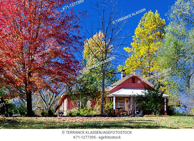 A home in rural Ozarks, Missouri with fall foliage color