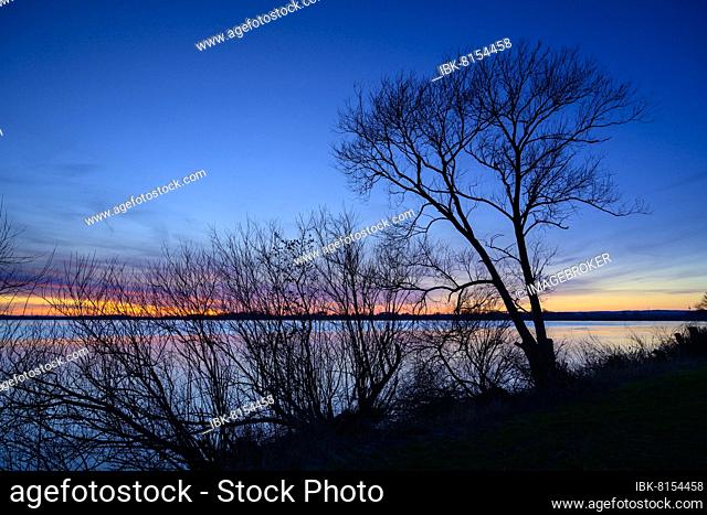 Winter atmosphere on the shore of Lake Dümmer, sunset, ice rink, silence, Lembruch, Lower Saxony, Germany, Europe