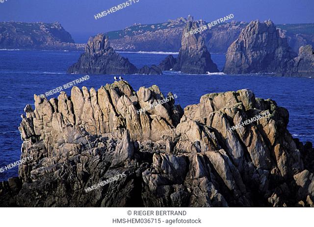 France, Finistère (29), Ouessant island, cliffs on the West coast