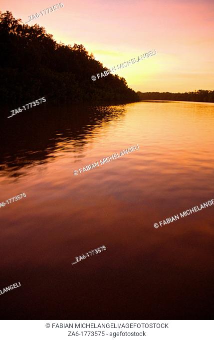 Sunset sky reflected on a water channel in the mangrove forest of Turuepano National Park, Eastern Venezuela