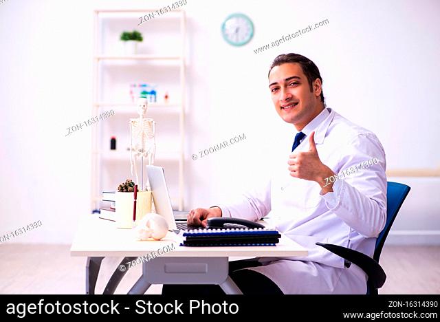 Male doctor working in the clinic
