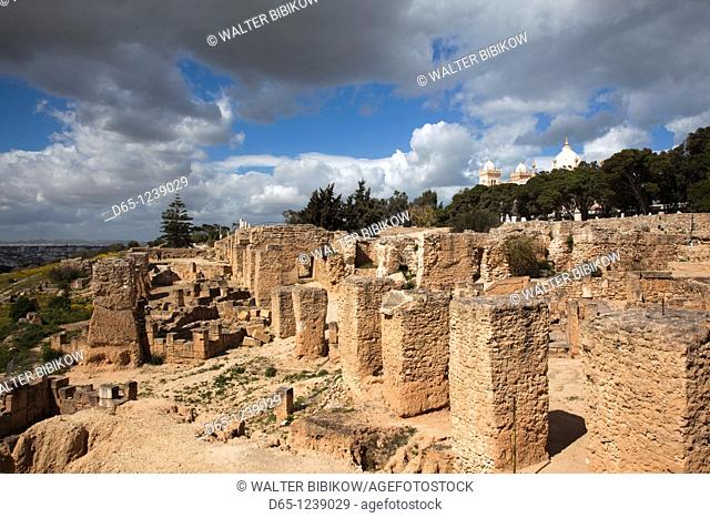 Tunisia, Tunis, Carthage, Byrsa Hill, Roman-era ruins