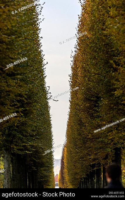 Fredensborg, Denmark, A landscape of trees in the autumn in the Royal baroque Gardens of the Fredensborg Palace