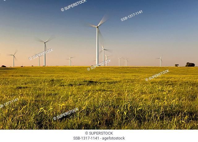 Wind turbines in a field, Texas, USA