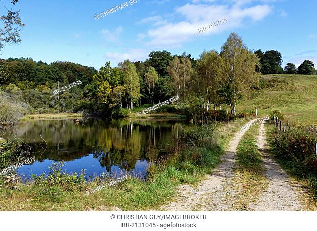Pond near Ussel, Parc Naturel Regional de Millevaches en Limousin, Millevaches Regional Natural Park, Correze, Limousin, France, Europe