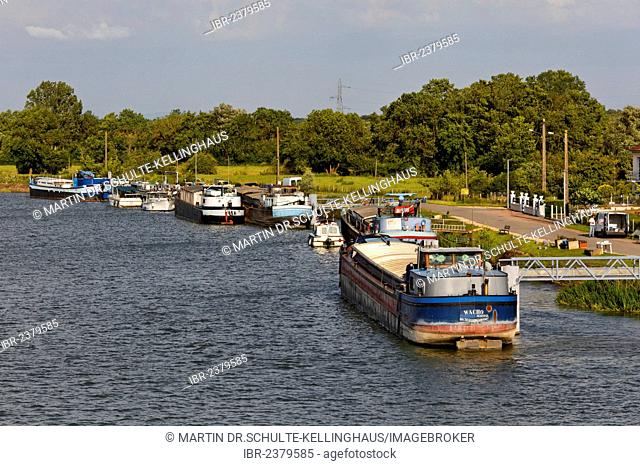 Houseboats on the banks of the Saône, Saint-Jean-de-Losne, Dijon, Burgundy, Côte d'Or department, France, Europe