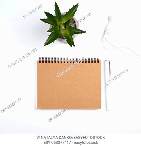 open spiral notebook with empty sheets, pen and green plants in a pot, white table, workplace, copy space