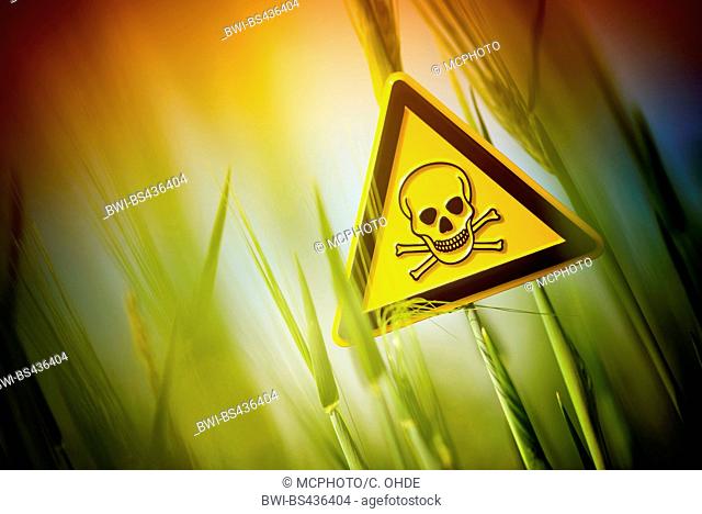 common barley, six-rowed barley (Hordeum vulgare), barley and warning sign, use of herbizid glyphosat in agricultural economy, Germany