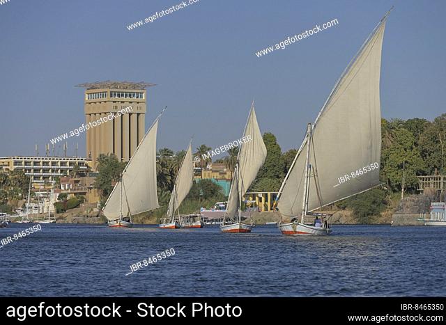 Sailing boats, excursion boats on the Nile at Aswan, Egypt, Africa
