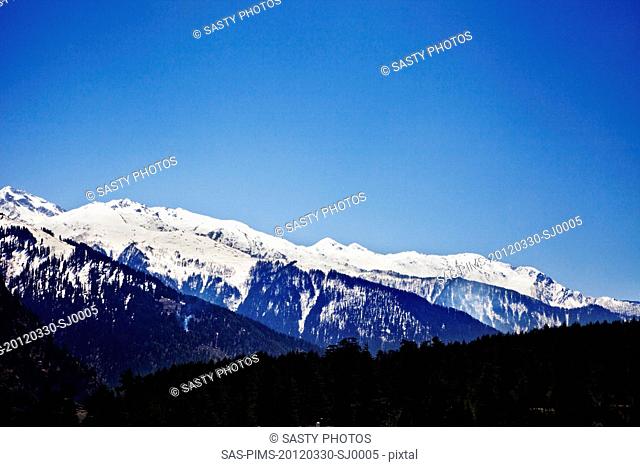 Forest with snow covered mountains in the background, Manali, Himachal Pradesh, India