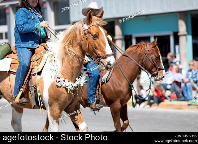 Orleans, Indiana, USA - April 28, 2018: The Orleans DogWood Festival and Parade, Horse wearing a necklace of dogwood flowers during the parade