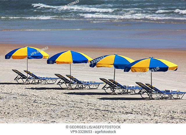 parasols row on the beach