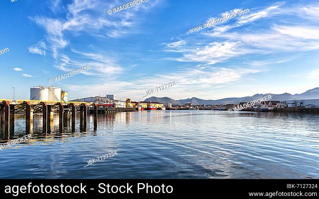 Entering the port of Andenes, Andoya Island, Vesteralen, Norwegian Arctic Ocean, Norway, Europe
